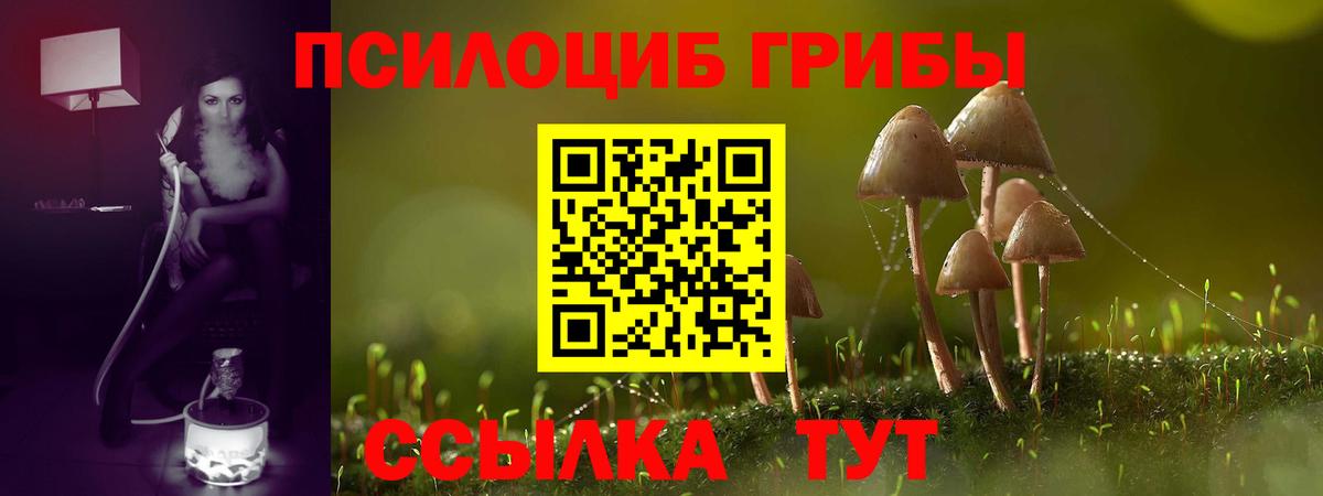 Псилоцибиновые грибы ЛСД  Вход с VPN  Новоалтайск 
